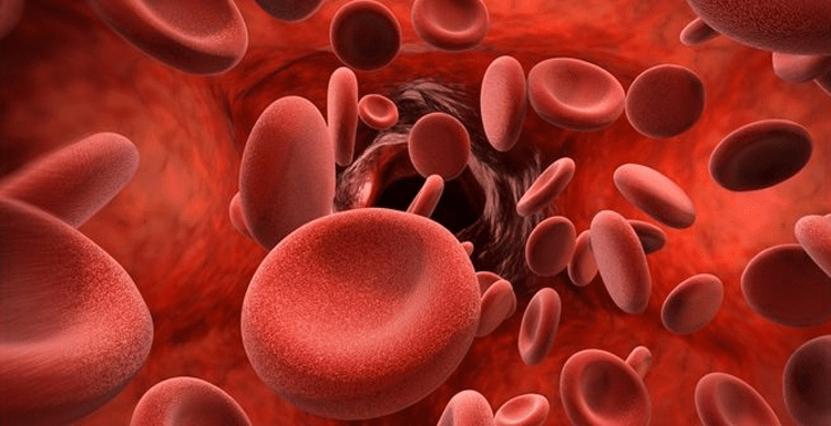 نقش آهن در بدن و گلبول های قرمز