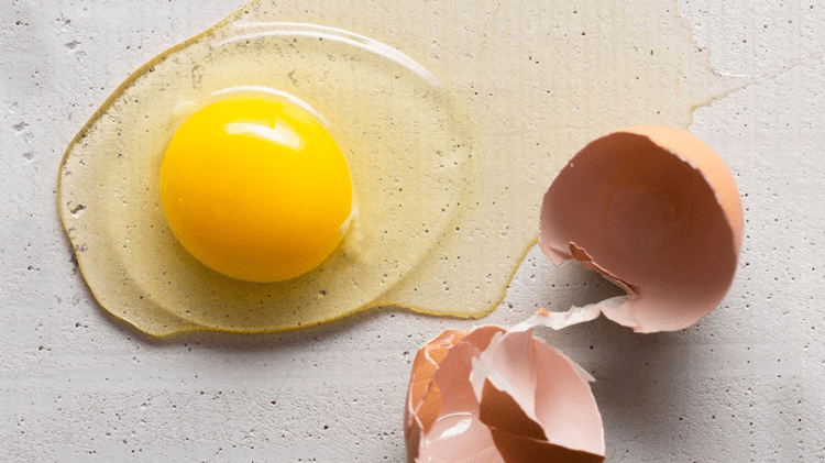 زرده تخم مرغ یک منبع تامین ویتامین D است